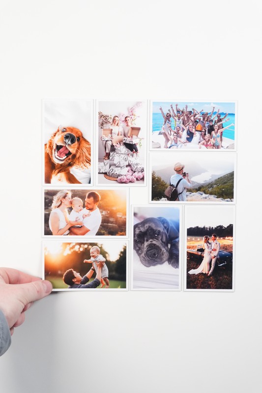 Large pet magnets