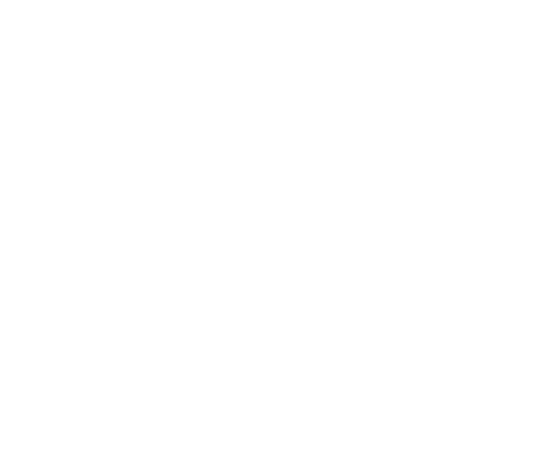 Snapshot Magnets